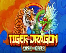 Dragon Tiger Slot